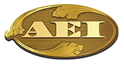 Read More About AEI
